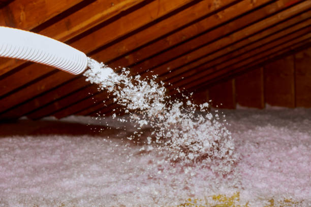 Best Insulation Installation Services in Belvidere, IL