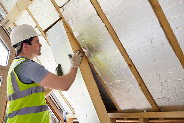 Best Insulation Installation Services in Belvidere, IL